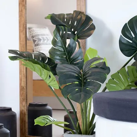 住宿加早餐酒店 June Twenty 4*