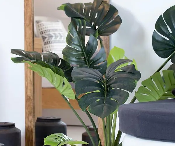 Bed & Breakfast June Twenty 4*